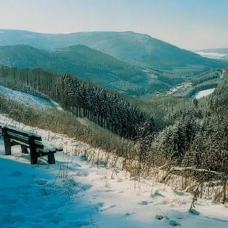 Typ Wieselbau * Шмалленберг