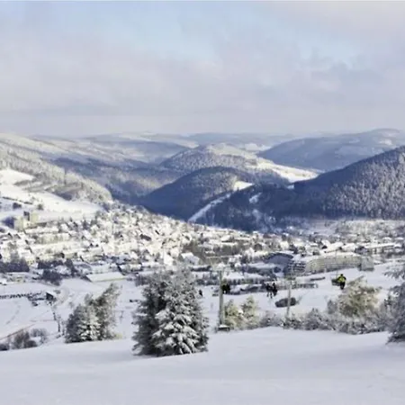 Typ Wieselbau Курортный комплекс *