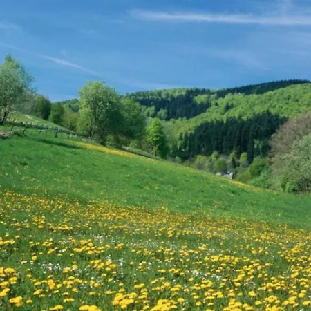 Typ Wieselbau Station touristique Schmallenberg