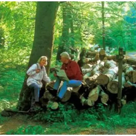 Typ Wieselbau * Шмалленберг