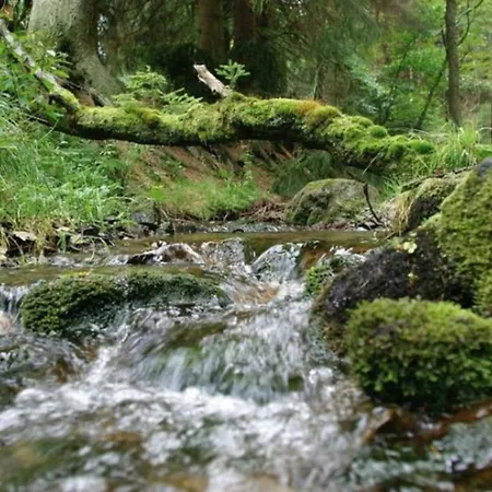 Курортный комплекс Typ Wieselbau *