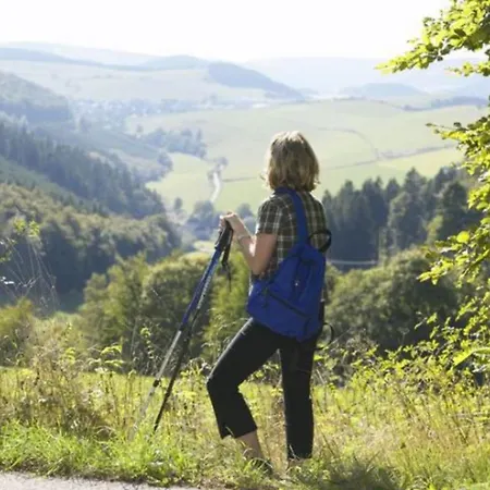 Typ Wieselbau * Шмалленберг