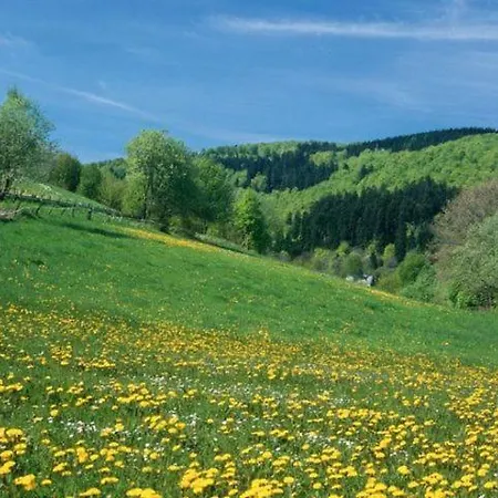 Typ Wieselbau שמאלנברג