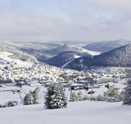 Typ Wieselbau Resort Schmallenberg