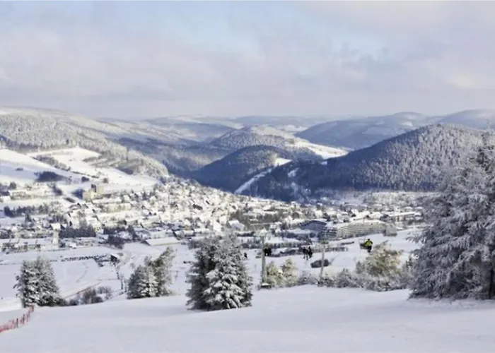 Typ Wieselbau Resort *