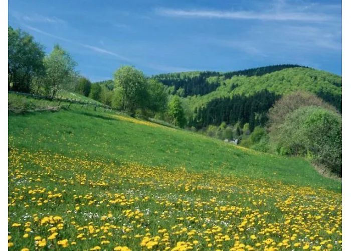 Typ Wieselbau Resort Schmallenberg