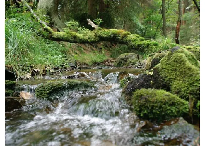 Resort Typ Wieselbau *